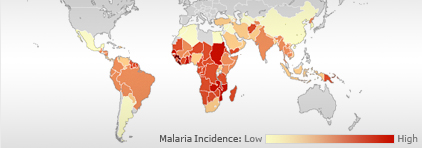 Malaria incidence