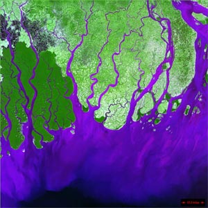 Ganges River Delta.