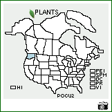 Distribution of Poa curtifolia Scribn.. . Image Available. 