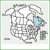 Distribution of Poa ×gaspensis Fernald (pro sp.) [alpina × pratensis ssp. alpigena]. . 