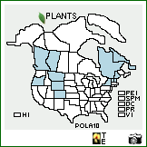 Distribution of Poa laxa Haenke. . Image Available. 