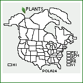 Distribution of Poa lanigera Nees. . 