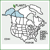 Distribution of Poa porsildii Gjaerev.. . 