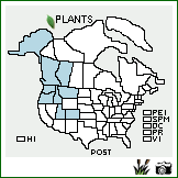 Distribution of Poa stenantha Trin.. . Image Available. 