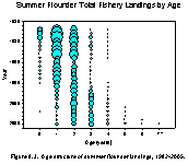 Figure 8.3.  Age structure of the summer flounder catch, 1982-2005.