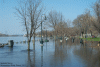 Riverside park flood pic
