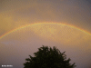 rainbow pic