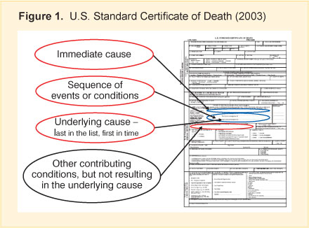 Figure 1. This figure shows the blank copy of the United States Death certificate (2003 revision). The lines for the immediate cause, sequence of events, underlying cause, and other conditions contributing to death are highlighted.