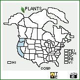 Distribution of Collinsia sparsiflora Fisch. & C.A. Mey.. . Image Available. 