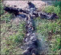 A cross burned outside a home where an African-American man was living near Foukes, Arkansas, in May 2006.