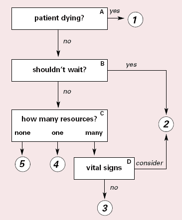 Flow chart demonstrating the algorithm.  Box A is labeled 'patient dying?' with an arrow labeled 'Yes' pointing to a 1 in a circle and an arrow labeled 'No' pointing to Box B.  Box B is labeled 'shouldn't wait?' with an arrow labeled 'Yes' pointing to a 2 in a circle and an arrow labeled 'No' pointing to Box C.  Box C is labeled 'how many resources?' with an arrow labeled 'none' pointing to a 5 in a circle, an arrow labeled 'one' pointing to a 4 in a circle, and an arrow labeled 'many' pointing to Box D. Box D is labeled 'vital signs' with an arrow labeled 'Consider' pointing to a 2 in a circle and an arrow labeled 'No' pointing to a 3 in a circle.