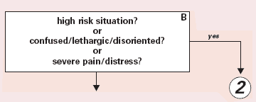 Detail from ESI Triage Algorithm. Box B is labeled 'high risk situation? or confused/lethargic/disoriented? or severe pain/distress?' with an arrow labeled 'Yes' pointing to a 2 in a circle and an arrow labeled 'No' pointing downwards.