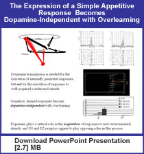 link - powerpoint the expression of a simple appetitive response becomes dopamine-independent with overlearning