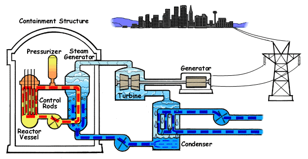 The Pressurized Water Reactor (PWR)