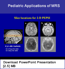 Link - Powerpoint presentation: Pediatric Applications of MRS