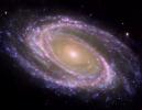 M81 Galaxy is Pretty in Pink