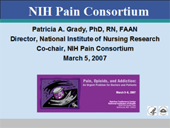 Link - to powerpoint presentation: Pain Consortium