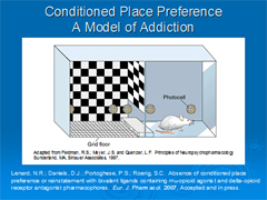 Link - to powerpoint presentation: Bivalent d-µ Opioid Ligands: Potential for Pain Control Without Tolerance or Dependence