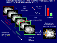 Link - to powerpoint presentation: Real-Time fMRI: A New Method for Controlling Targeted Brain Activation Through Training, With Application to Pain Control and Addiction