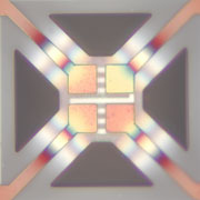 Micrograph of NIST sensor device