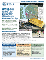 Graphic of Mitigation and Recovery Planning handout
