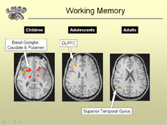 Link - to powerpoint presentation: Vulnerabilities in Neurocognitive Processes in Adolescence