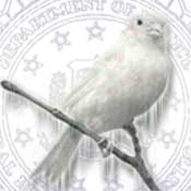 Graphic of a frozen canary and FBI seal.