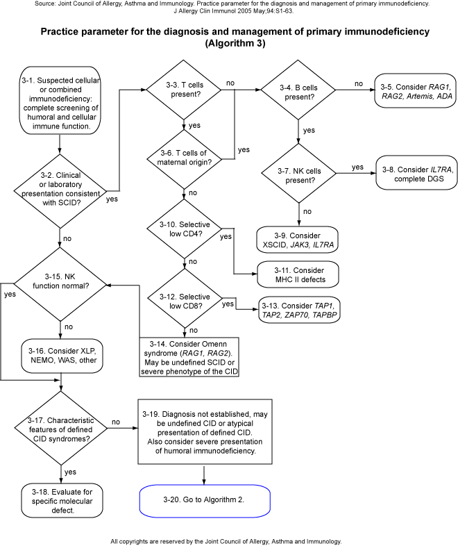 Practice parameter for the diagnosis and management of primary immunodeficiency (Algorithm 3)