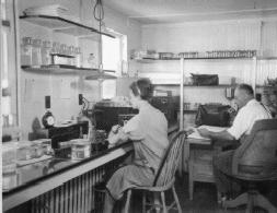 Original Milford Lab 