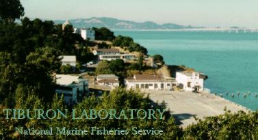 Tiburon Marine Laboratory 