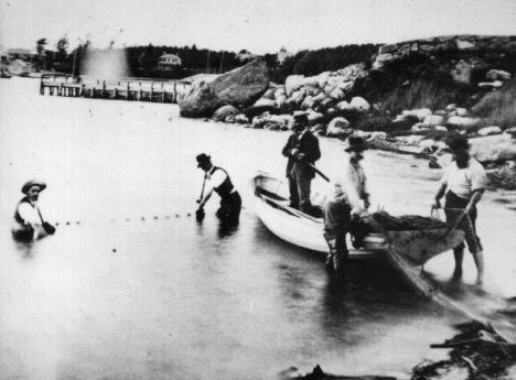 researchers collection samples in Woods Hole 1800's
