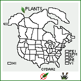 Distribution of Cynodon dactylon (L.) Pers. var. aridus Harlan & de Wet [excluded]. . 