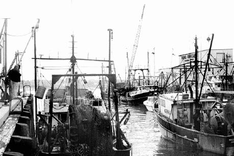 fishing fleet at dock New Bedford