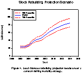  Figure 4.  Stock biomass rebuilding projection results under a constant fishing mortality strategy.