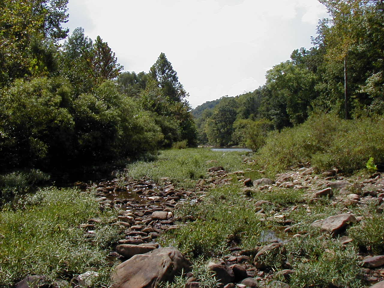 Picture of Arkansas Scenery