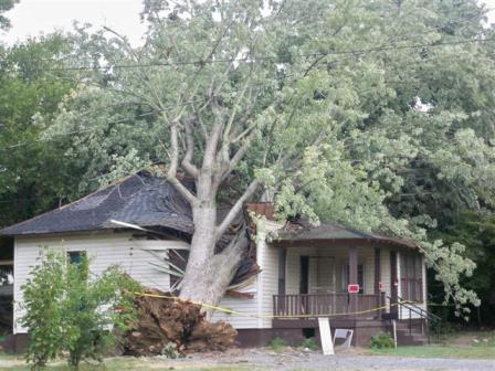 Photo of tree on house in Mayfield, KY
