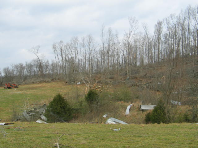 Ripley County Damage Photo