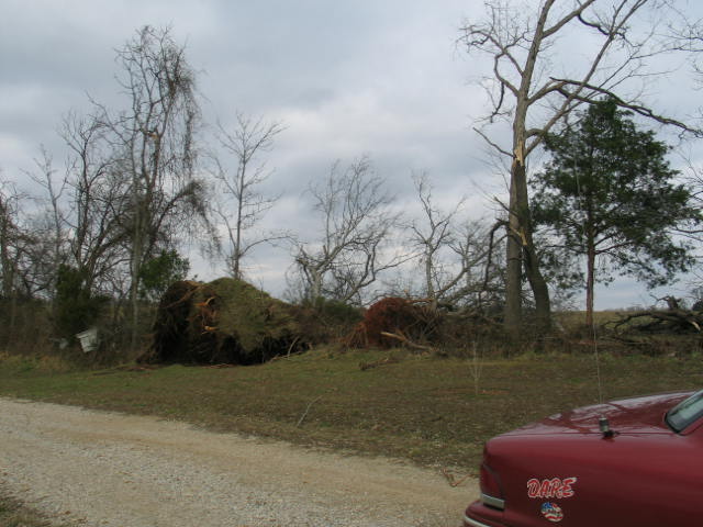 Ripley County Damage Photo