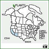 Distribution of Rhus ovata S. Watson. . Image Available. 