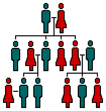 animated family tree