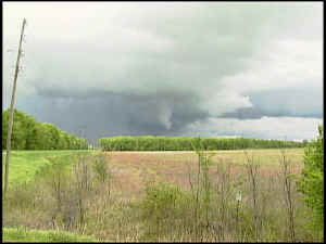 Photo of funnel cloud over forest in Alexander County, IL