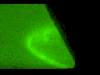 Polar Mission scientists dubbed the mission's final image, taken April 16, 2008, The Broken Heart because of its shape.