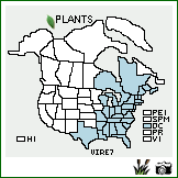 Distribution of Viburnum recognitum Fernald. . Image Available. 