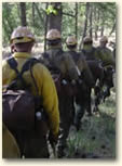 Idaho City hotshot crew on the line