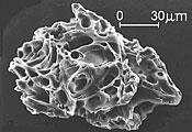 a single particle of volcanic ash magnified 200 times