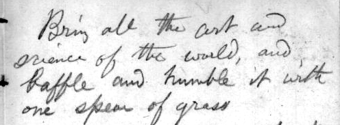 Handwriting from Whitman notebook