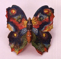 Whitman butterfly