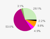 Pie chart: in table form below