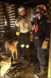 Photo of rescue dog and two rescue workers talking each other.