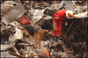 Photo of US&R teams member and rescue dog walking amongst the World Trade Center debris.